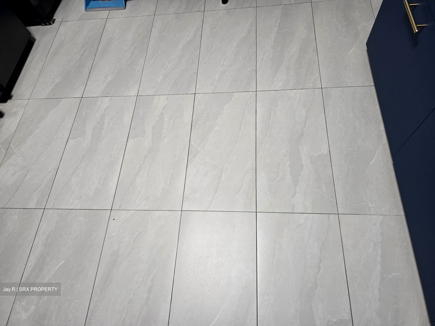 Blk 251 Choa Chu Kang Avenue 2 (Choa Chu Kang), HDB 4 Rooms #550294361
